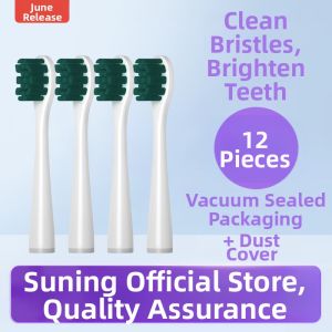 Huipu Adult Soft Bristle Electric Toothbrush Head Replacement Dental Care Instrument by Liuchushou Early June Model L3196