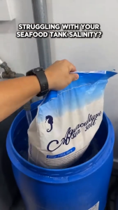 25KG Aquaculture Sea Salt for Fish Keeping and Sea Foods Sea Salt