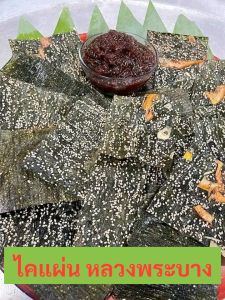 ไคเเผ่น สาหร่ายน้ำจืด หลวงพระบาง