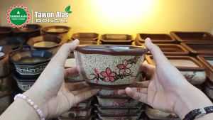 Pot Keramik Bonsai Kaktus Sukulen Segi Delapan Kecil Small Mini Mame - Polos