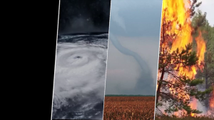 10000mAh Emergency Crank Weather RadioAM/FM Hand Crank Solar Powered RadioEmergency Phone Charger3 Modes FlashlightSOS AlarmEarphone JackCompass for Emergency Outdoor