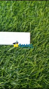 (1TUBE ISI 5PCS) KENKO RREFILL CUTTER L-150