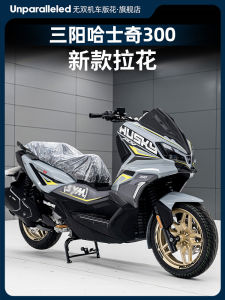 สติกเกอร์ตกแต่งรถยนต์แบบกันน้ำสำหรับ BMW R nineT Pure Classic สติกเกอร์ตกแต่งภายนอกแบบสัตว์เลี้ยง HUSQVARNA 300ADV