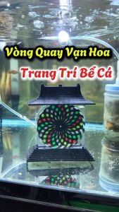 Dragon Gate Trang Trí Cho Bể Cá Cảnh (Sủi Oxy Và Quay Bánh Quay)