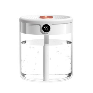 BS | Small Quiet Bedroom USB Baby Student Air Conditioned Environment Humidifier 2L