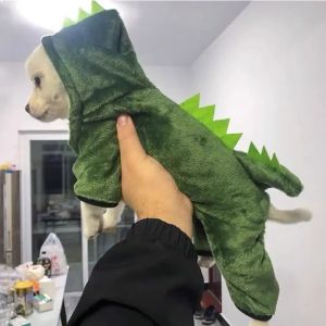 Funny Dinosaur Transformation Clothes