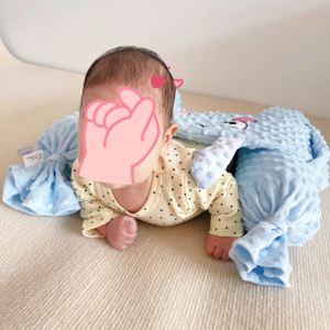 Pillow for Baby Comfort Side Sleeping Pillow Newborn Anti-startle Double Bolster Pillows Infant Backrest Pillow 0-36M