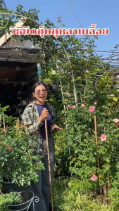 ✅พร้อมส่ง🔥ซุ้มกุหลาบเลื้อย 13mm โครงเหล็กแข็งแรง ถอดออกได้ ติดตั้งง่าย เหมาะสำหรับตกแต่งสวนกลางแจ้งและพื้นที่สวนกุหลาบ