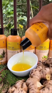Dầu Gội Gừng- Trắc bách diệp Tùng Xà bông từ thảo mộc giúp Giảm Gàu Nấm Ngứa Rụng Tóc