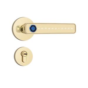 FALEISTON | Fingerprint Password Smart Electronic Door Lock