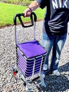 GIANXI | Foldable Grocery Cart Light Elder-friendly