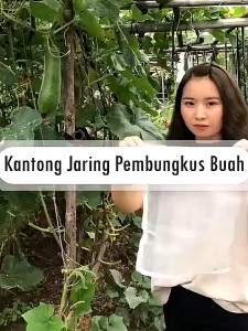 Fruitex pembungkus buah reusable BBS