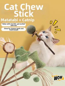 VOA | Entertainment Interactive Cat Toy Teaser