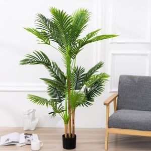 Cây Dừa Cảnh 3 Thân Cao 140cm