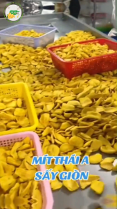 Mít Sấy Giòn 500g - Mít Sấy Thái Hàng Xuất Khẩu Hút Chân Không - Ăn Chay Ăn Vặt Healthy - VN FOOD