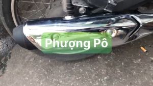 ⚡️FREESHIP⚡️ Pô Fu mập móc ấm ù cho wave nhỏ-dream-cup-rs-wave a 16