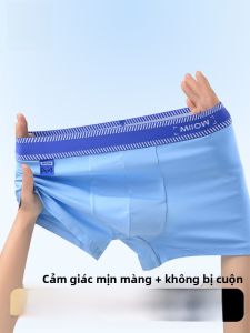 MiiOW | Quần lót nam Catman 2024 Quần đùi thể thao thoáng khí kháng khuẩn màu tương phản cạp vừa cho thanh thiếu niên