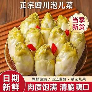 Traditional Pickled Cabbage Sichuan Specialties