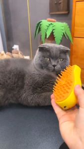 ((ส่งจากไทย)) แปรงพ่นไอน้ำ สุนัขและแมว มาพร้อมสายชาร์จแบบUSB