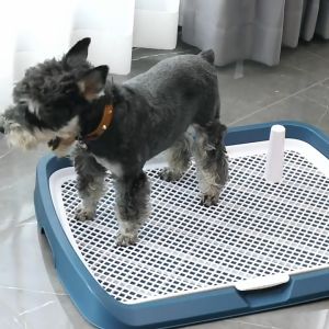 👑 Pet Store ห้องน้ำหมา Dog Toilet ขอบสี่เหลี่ยม, ห้องน้ำสุนัข ถาดฉี่สุนัข ทำความสะอาดง่าย พร้อมส่ง สีที่เหลี่ยม เป็นสิ่งสำคัญที่ไม่ควรมองข้าม