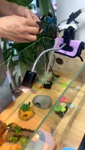 หลอดไฟให้ความร้อน UVA UVB 3.0 สำหรับสัตว์เลื่อยคลาน กิ้งก่า เต่าน้ำ หรือ เต่าบก กระต่าย กระบองเพชร ใช้คู่กับขั้วE27 ไฟกกนก ไฟกกเต่า ไฟกกแมว