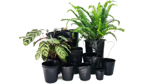 100ชิ้น กระถางเพาะชำพลาสติกสีดำ / ถุงใส่ต้นกล้า / กระถางพลาสติกสำหรับใส่อาหารสำหรับพืช กระถางเพาะชำแบบนิ่ม / กระถางพลาสติกสำหรับใส่ดอกไม้สีดำ อุปกรณ์ทำสวน