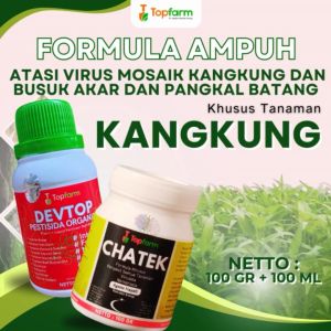 Pestisida Topfarm: Solusi Hama Daun Kangkung