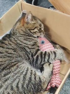 Gối đồ chơi nhồi bông chứa catnip cho mèo vải linen hình con cá kẻ - Đen Ta pet shop