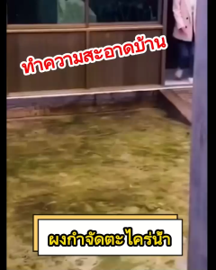 2405/300g.ผงกำจัดตะไคร่น้ำ คราบตะไคร่น้ำ แบคทีเรียกำจัดตะไคร่ ใช้งานง่าย ขนาด 300กรัม. R