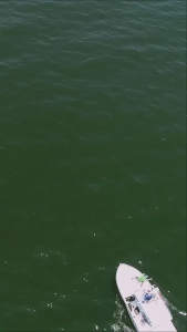 Joran Relix Nusantara Cangkek LANGLANG 802