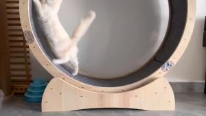 L&Q Pet Cat Treadmill Weight Loss Fitness Exercise Pet Cat Toy Roller Silent Training Treadmill Multi layer Solid Wood Cat runway