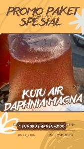 P4K£T ST4RT£R KμTμ 4lR D4₱HlN4 M4GN4 Makanan Burayak Ikan Hias Cupang Guppy Molly DLL