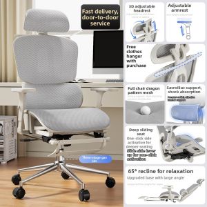 maitian | Lumbar Support Ergonomic Office & Gaming Chair Reclinable