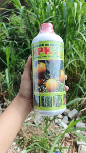 Pupuk NPK Gold 1 Liter Nucindo Nutrisi Lengkap Sayur Buah Padi Umbi Plus Perekat Anti Jamur GA3 ZPT