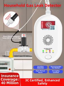 Boleesch | Bộ Phát Hiện Rò Rỉ Gas với Van Tắt Tự Động