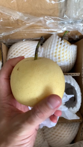 BUAH PEAR PIR CENTURY SENTURI 1KG RUMAH BUAH
