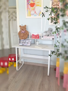 Study Table 80/100/120cm Computer Table Office Desk with Bookshelf Student Study Desk