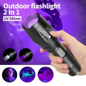 2-in-1 Type C Rechargeable UV Flashlight Torch Light 395nm Black Light Portable Ultraviolet Light Pets Blacklight Uv Flashlights