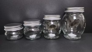 Glass Storage Food Jar with Screw Lid