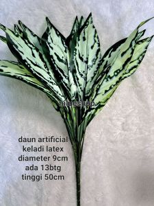 tanaman hias dekorasi daun keladi latex cabang 13