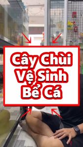 "Hoàn tiền đến 10%" CÂY CHÀ HỒ VỆ SINH BỂ CÁ CẢNH XINYOU 2320 DÀI 33CM