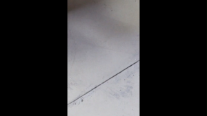 กาวซ่อมกระเบื้อง กาวยาแนวกระเบื้องห้องน้ํา ยาแนวกระเบื้อง ไม่มีกลิ่นระคายเคือง ปลอดภัยและเชื่อถือได้ในการใช้งาน