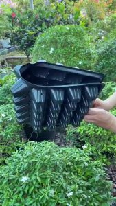 Combo 3 cái Khay nhựa ươm cây khay ươm hạt giống khay gieo hạt- 50 lỗ/cái