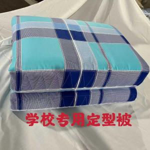 Quilt Square Block Pure Cotton Soybean Cotton Dormitory Single Person Special Use Washable Warm Winter Summer Double Use