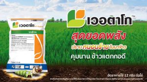 เวอตาโก ขนาด 100 กรัม ปราบหนอนกอ หนอนม้วนใบข้าว คุมนานกว่า 2 สัปดาห์ 1 ซองใช้ได้ 5 ไร่