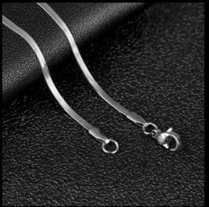 Kalung Kasandra motif pipih kalung titanium murah anti karat untuk pria dan wanita trendy