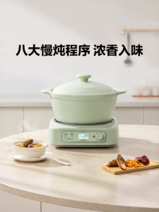 BUYDEEM | Multipurpose Electric Stew Pot