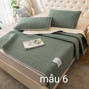 Chiều Điều Hoà Cao Su Non ⚡FREE SHIP⚡ Chiếu Điều Hoà Latex Hàng Loại 1 (Tặng Kèm 2 vỏ gối)