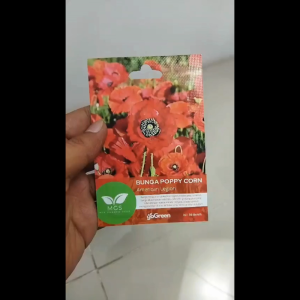 Benih Biji Bibit Bunga Poppy Corn American Legion Mix Garden Seed - 1 Pcs