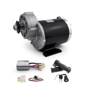 36V 48V 450W 600W High Torque Rickshaw Scooter Bicycle Tricycle Bike Brushed DC Gear Motor With Controller